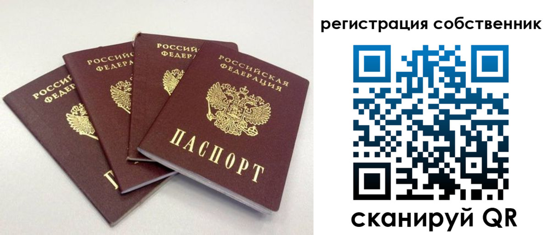 прописка для школы в Сертолово